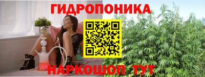 гидра Тулун