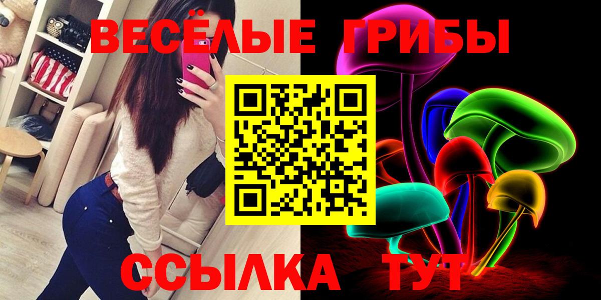 Галлюциногенные грибы Cubensis  Вход с VPN  Сегежа 