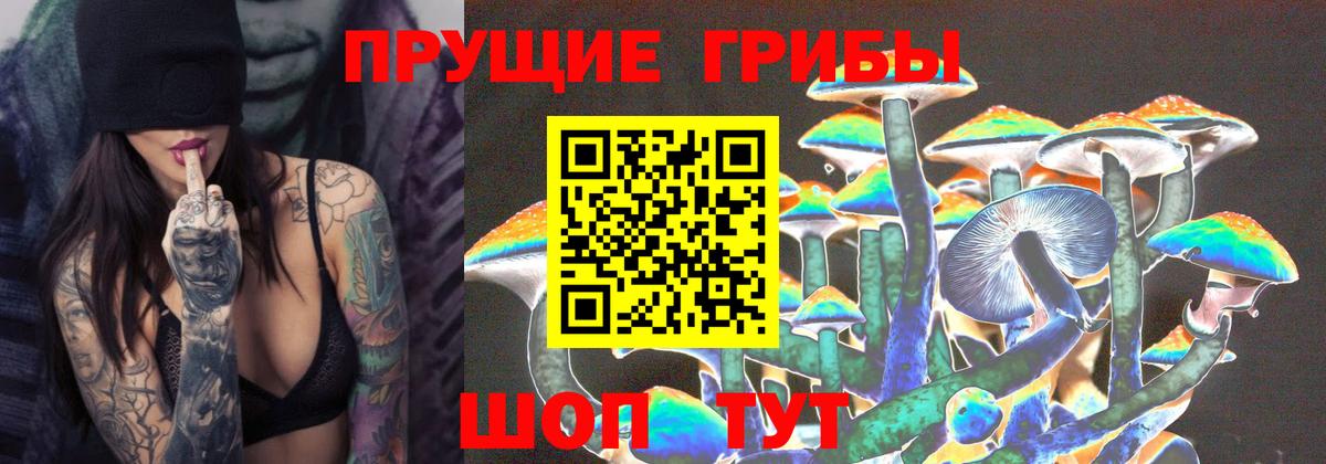 Псилоцибиновые грибы мицелий Сегежа